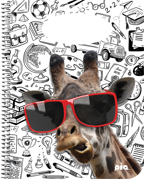 PiQ Potential Standard school agenda cover choices - School is Cool