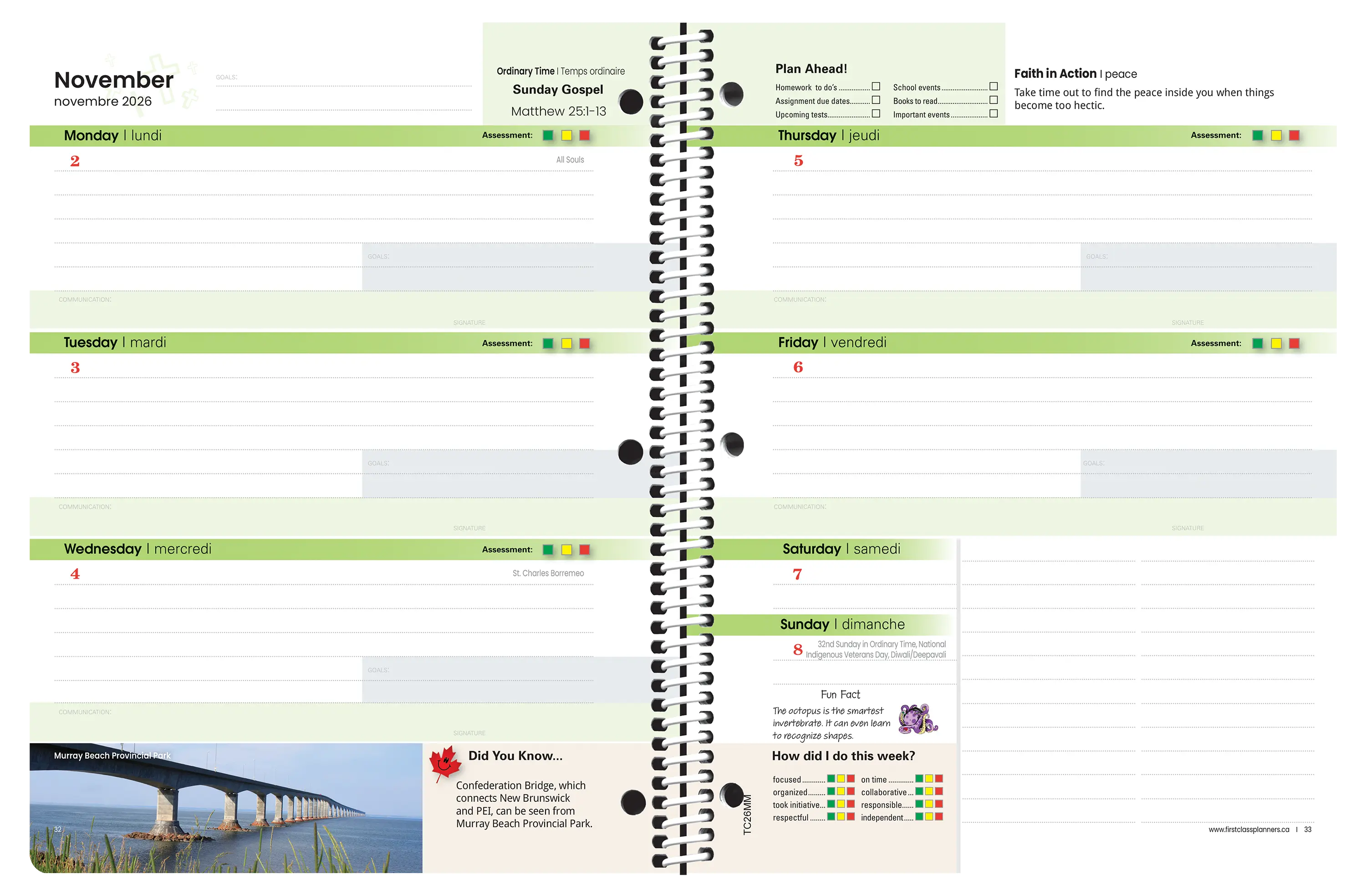 Faith Series – Middle